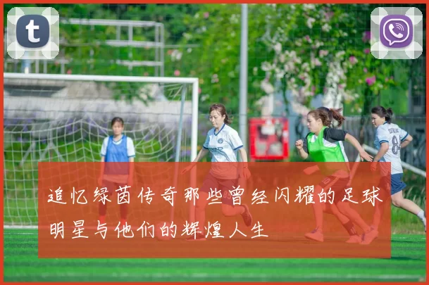 追忆绿茵传奇那些曾经闪耀的足球明星与他们的辉煌人生