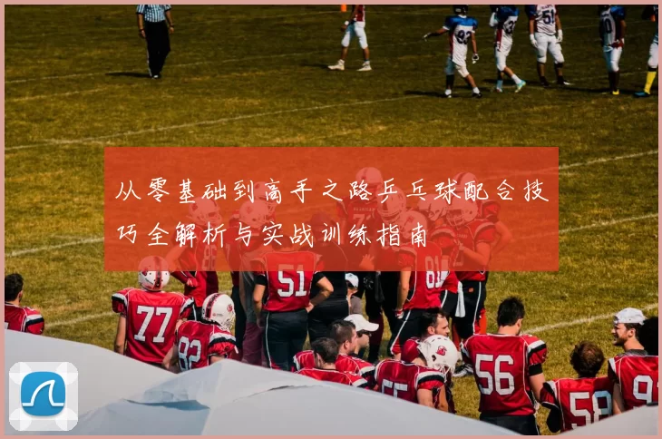 从零基础到高手之路乒乓球配合技巧全解析与实战训练指南