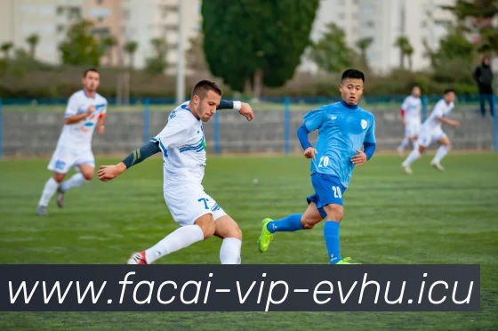 爱游戏体育服务体系